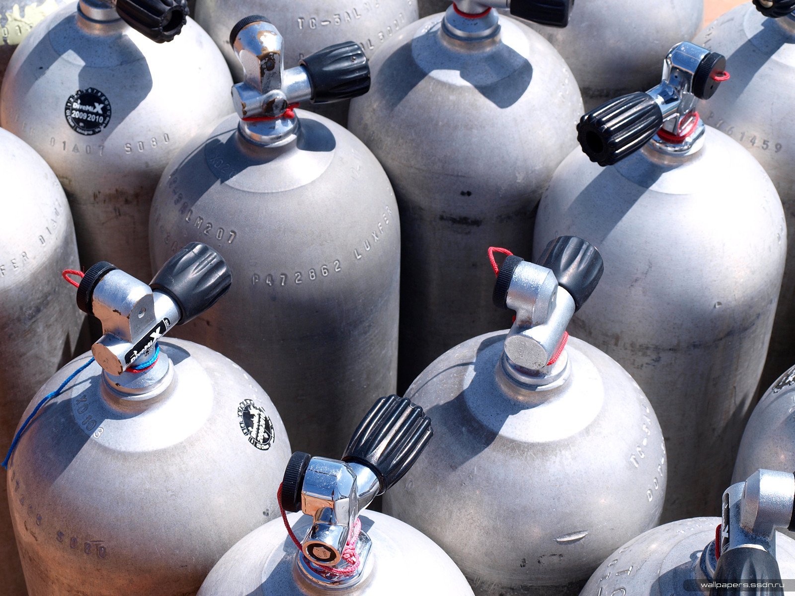 Баллон веселящего газа на большую компанию